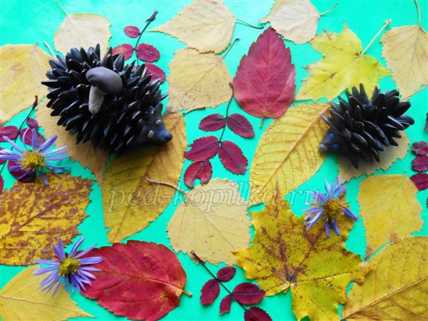 Осінні вироби з природного матеріалу. Їжачки Осінні вироби з природного матеріалу. Їжачки