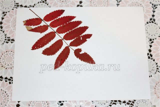 Аплікація Дари осені. Майстер-клас