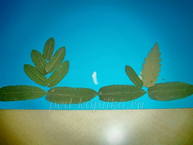 Аплікація з осіннього листя. Акваріум Аплікація з осіннього листя. Акваріум