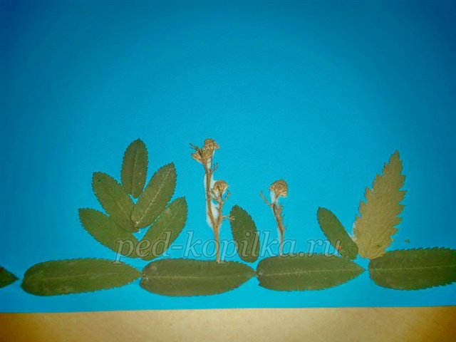 Аплікація з осіннього листя. Акваріум Аплікація з осіннього листя. Акваріум