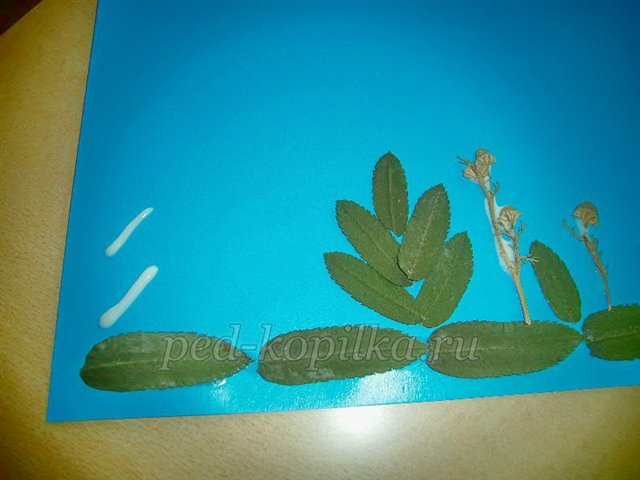 Аплікація з осіннього листя. Акваріум Аплікація з осіннього листя. Акваріум