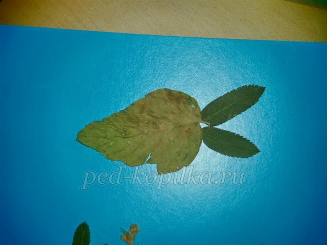 Аплікація з осіннього листя. Акваріум Аплікація з осіннього листя. Акваріум