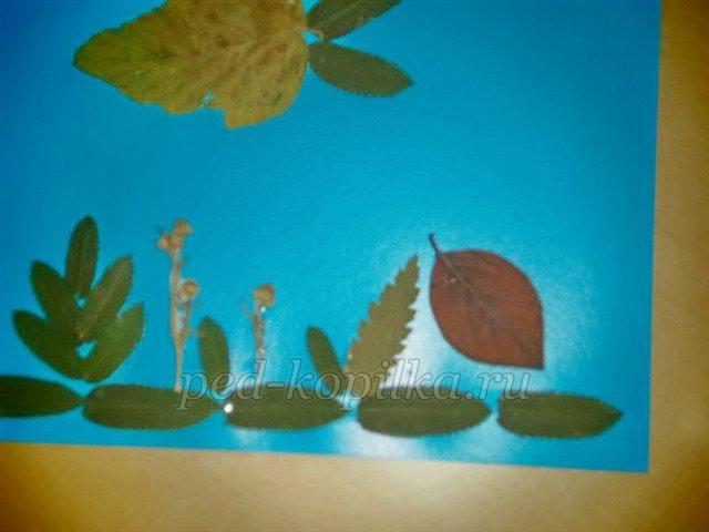 Аплікація з осіннього листя. Акваріум Аплікація з осіннього листя. Акваріум