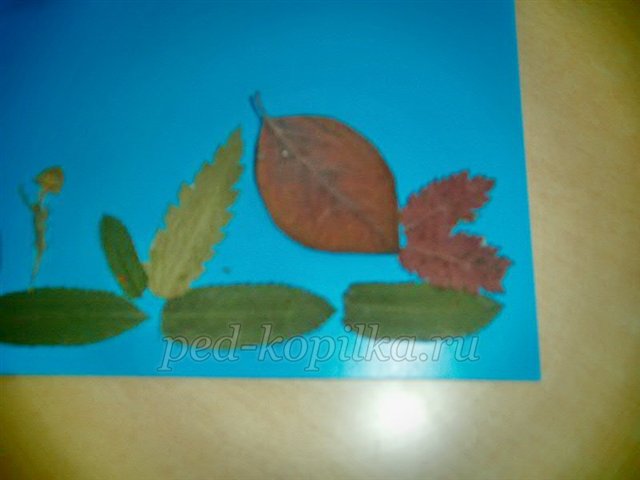 Аплікація з осіннього листя. Акваріум Аплікація з осіннього листя. Акваріум