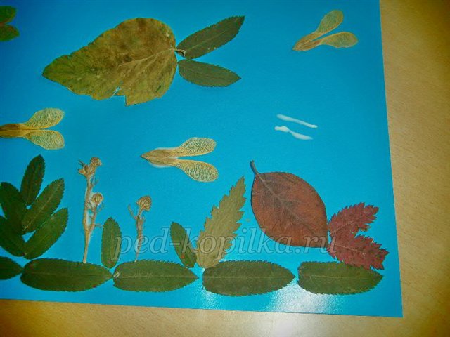 Аплікація з осіннього листя. Акваріум Аплікація з осіннього листя. Акваріум