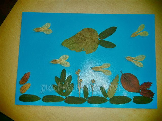 Аплікація з осіннього листя. Акваріум Аплікація з осіннього листя. Акваріум