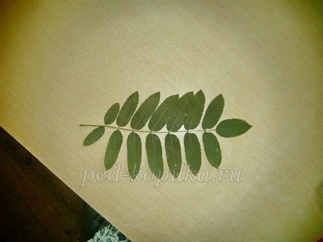 Аплікація з осіннього листя. Акваріум Аплікація з осіннього листя. Акваріум