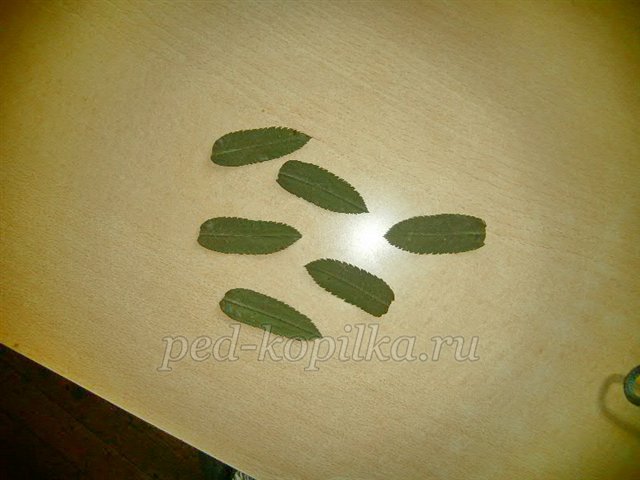 Аплікація з осіннього листя. Акваріум Аплікація з осіннього листя. Акваріум