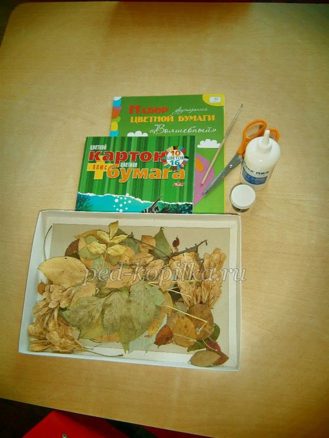 Соняшник. Аплікація з сухого листя Соняшник. Аплікація з сухого листя