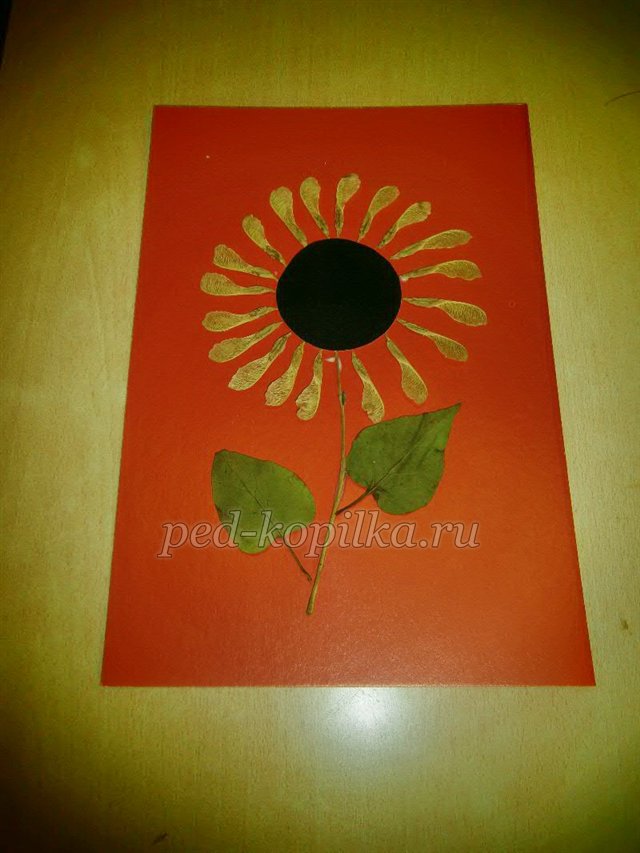 Соняшник. Аплікація з сухого листя Соняшник. Аплікація з сухого листя