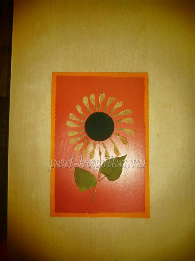 Соняшник. Аплікація з сухого листя Соняшник. Аплікація з сухого листя