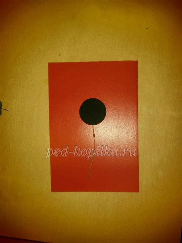 Соняшник. Аплікація з сухого листя Соняшник. Аплікація з сухого листя