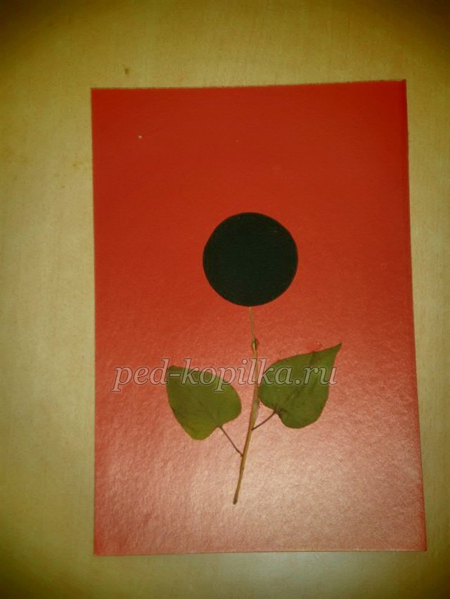 Соняшник. Аплікація з сухого листя Соняшник. Аплікація з сухого листя