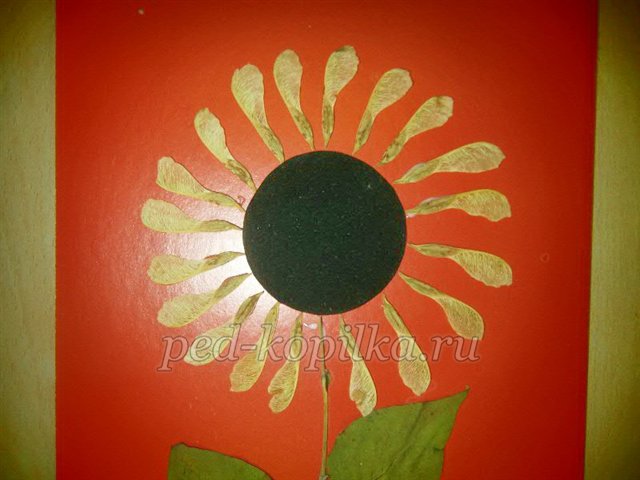 Соняшник. Аплікація з сухого листя Соняшник. Аплікація з сухого листя