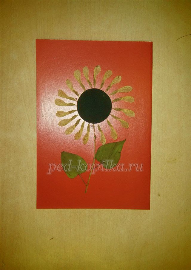 Соняшник. Аплікація з сухого листя Соняшник. Аплікація з сухого листя