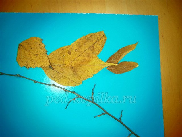 Майстер-клас із рукоділля «Аплікація з сухого листя. Пташка» Майстер-клас із рукоділля «Аплікація з сухого листя. Пташка»