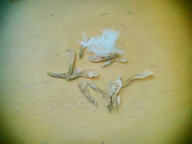 Майстер-клас із рукоділля «Аплікація з сухого листя. Пташка» Майстер-клас із рукоділля «Аплікація з сухого листя. Пташка»