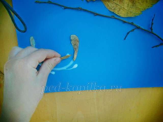 Майстер-клас із рукоділля «Аплікація з сухого листя. Пташка» Майстер-клас із рукоділля «Аплікація з сухого листя. Пташка»