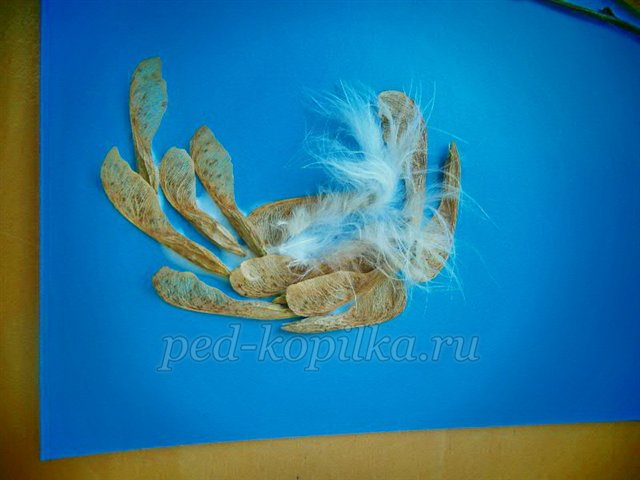 Майстер-клас із рукоділля «Аплікація з сухого листя. Пташка» Майстер-клас із рукоділля «Аплікація з сухого листя. Пташка»