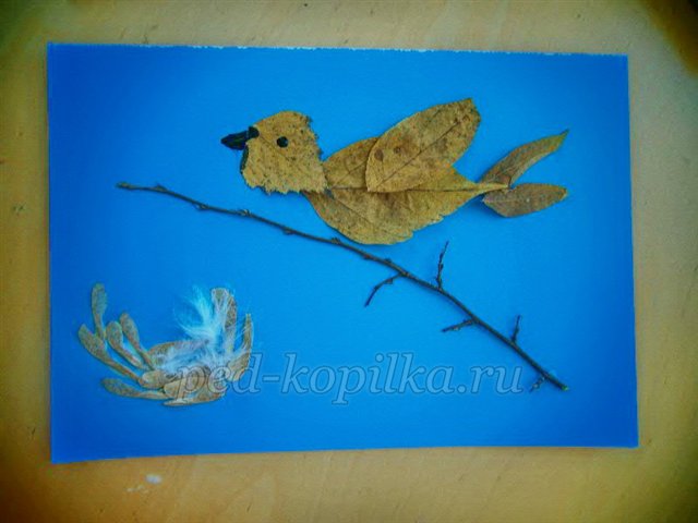 Майстер-клас із рукоділля «Аплікація з сухого листя. Пташка» Майстер-клас із рукоділля «Аплікація з сухого листя. Пташка»