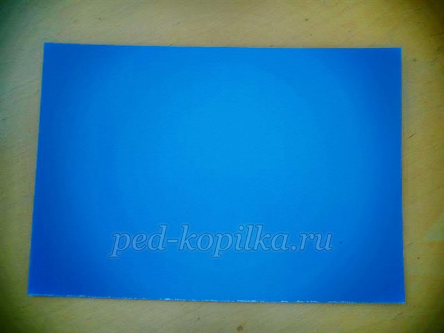 Майстер-клас із рукоділля «Аплікація з сухого листя. Пташка» Майстер-клас із рукоділля «Аплікація з сухого листя. Пташка»