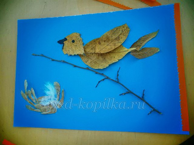 Майстер-клас із рукоділля «Аплікація з сухого листя. Пташка» Майстер-клас із рукоділля «Аплікація з сухого листя. Пташка»