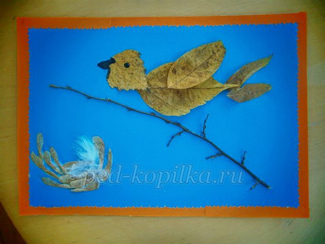 Майстер-клас із рукоділля «Аплікація з сухого листя. Пташка» Майстер-клас із рукоділля «Аплікація з сухого листя. Пташка»