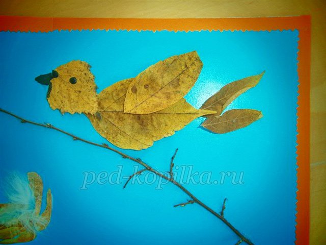 Майстер-клас із рукоділля «Аплікація з сухого листя. Пташка» Майстер-клас із рукоділля «Аплікація з сухого листя. Пташка»