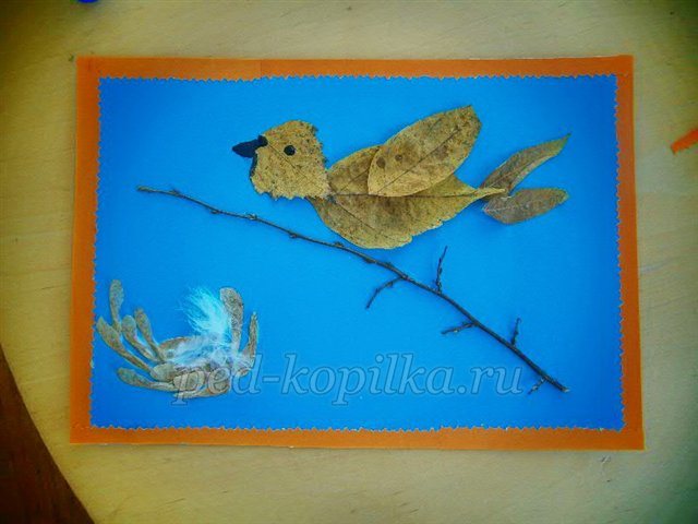 Майстер-клас із рукоділля «Аплікація з сухого листя. Пташка» Майстер-клас із рукоділля «Аплікація з сухого листя. Пташка»