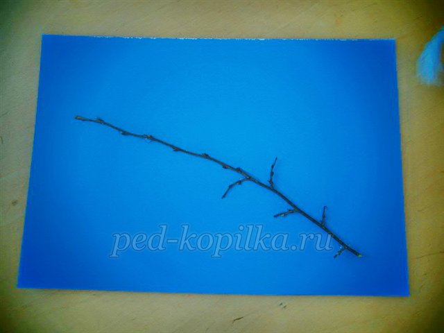 Майстер-клас із рукоділля «Аплікація з сухого листя. Пташка» Майстер-клас із рукоділля «Аплікація з сухого листя. Пташка»