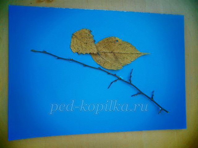 Майстер-клас із рукоділля «Аплікація з сухого листя. Пташка» Майстер-клас із рукоділля «Аплікація з сухого листя. Пташка»