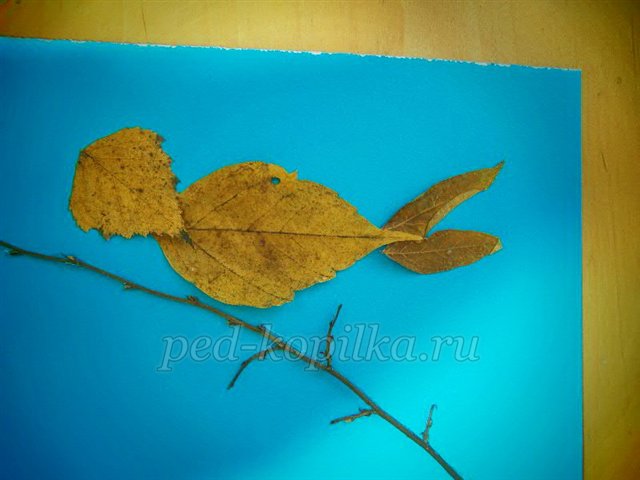Майстер-клас із рукоділля «Аплікація з сухого листя. Пташка» Майстер-клас із рукоділля «Аплікація з сухого листя. Пташка»
