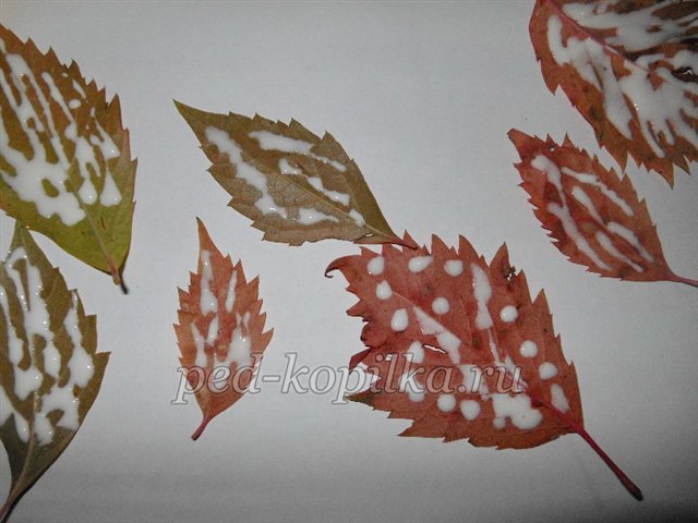 Майстер клас «Осіння композиція» виріб з непридатного матеріалу Майстер клас «Осіння композиція» виріб з непридатного матеріалу