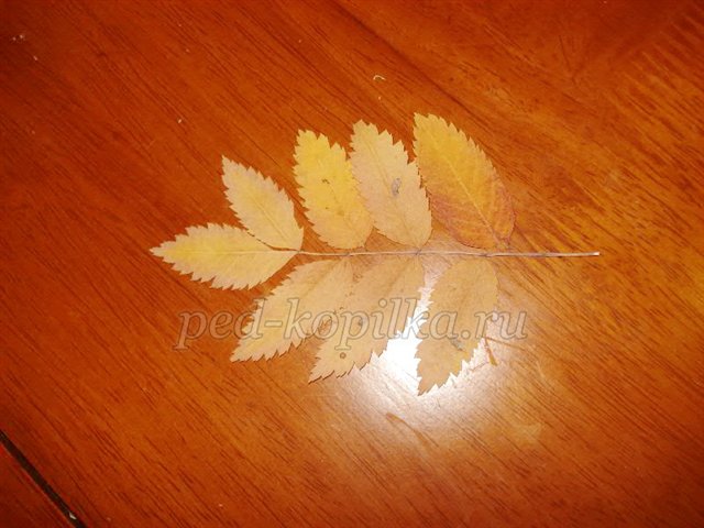 Майстер-клас по виготовленню Горобини Майстер-клас по виготовленню Горобини