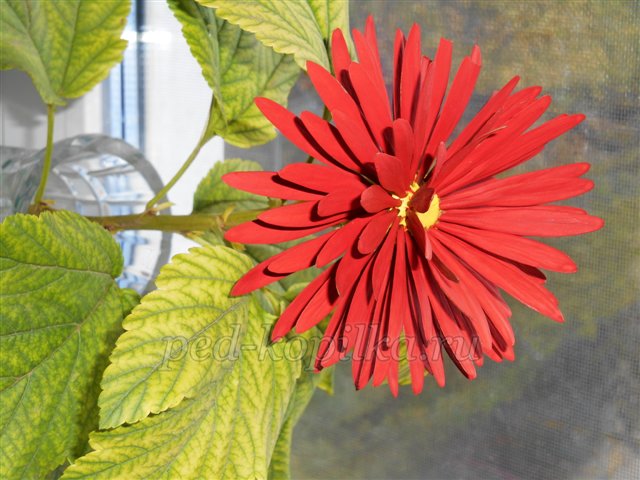 Поробка з природного матеріалу Букет жоржин