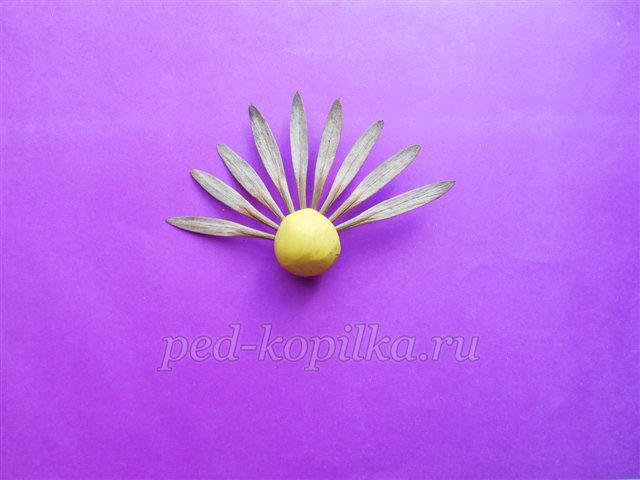 Поробка з природного матеріалу Букет жоржин Поробка з природного матеріалу Букет жоржин