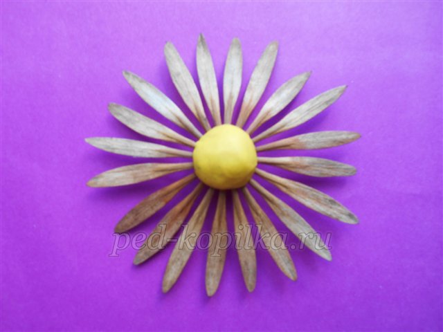 Поробка з природного матеріалу Букет жоржин Поробка з природного матеріалу Букет жоржин