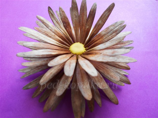 Поробка з природного матеріалу Букет жоржин Поробка з природного матеріалу Букет жоржин