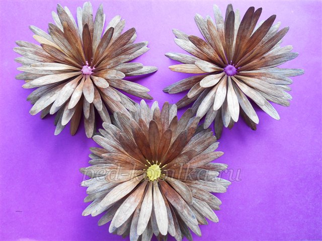 Поробка з природного матеріалу Букет жоржин Поробка з природного матеріалу Букет жоржин