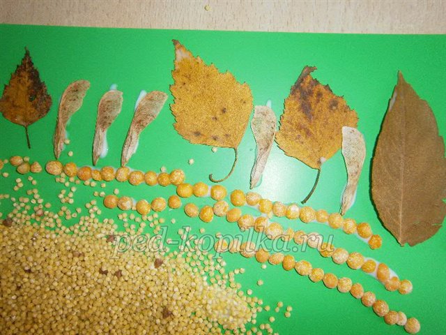Аплікація з природних матеріалів на тему Осінь Аплікація з природних матеріалів на тему Осінь