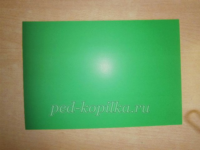 Аплікація з природних матеріалів на тему Осінь