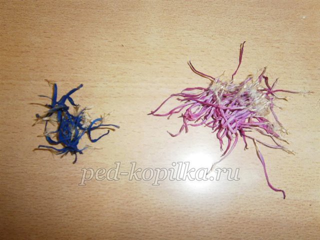 Аплікація з природних матеріалів на тему Осінь Аплікація з природних матеріалів на тему Осінь