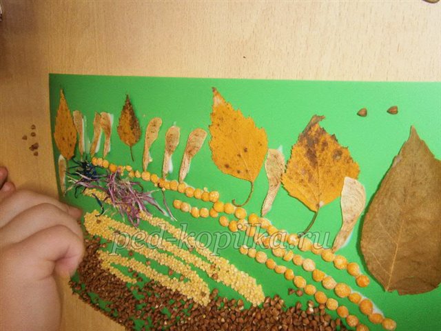 Аплікація з природних матеріалів на тему Осінь Аплікація з природних матеріалів на тему Осінь