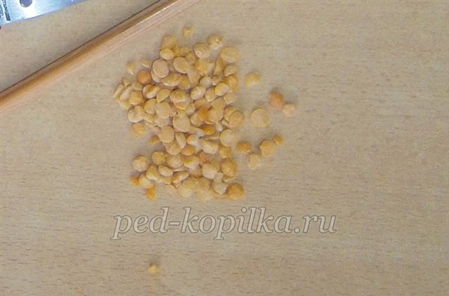 Аплікація з природних матеріалів на тему Осінь