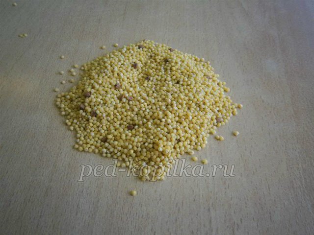 Аплікація з природних матеріалів на тему Осінь