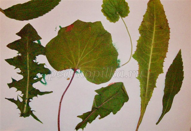 Урок малювання на тему Осінь Урок малювання на тему Осінь