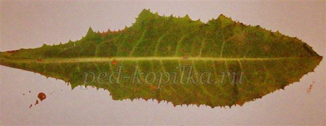 Урок малювання на тему Осінь Урок малювання на тему Осінь