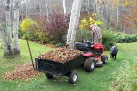 Роботи в саду восени