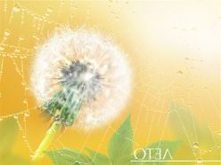 Літні вірші для молодших школярів