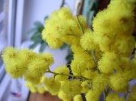 Весняні вироби своїми руками в дитячому садку